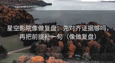 星空影院像做复盘：先对齐证据够吗，再把前提补一句（像做复盘）